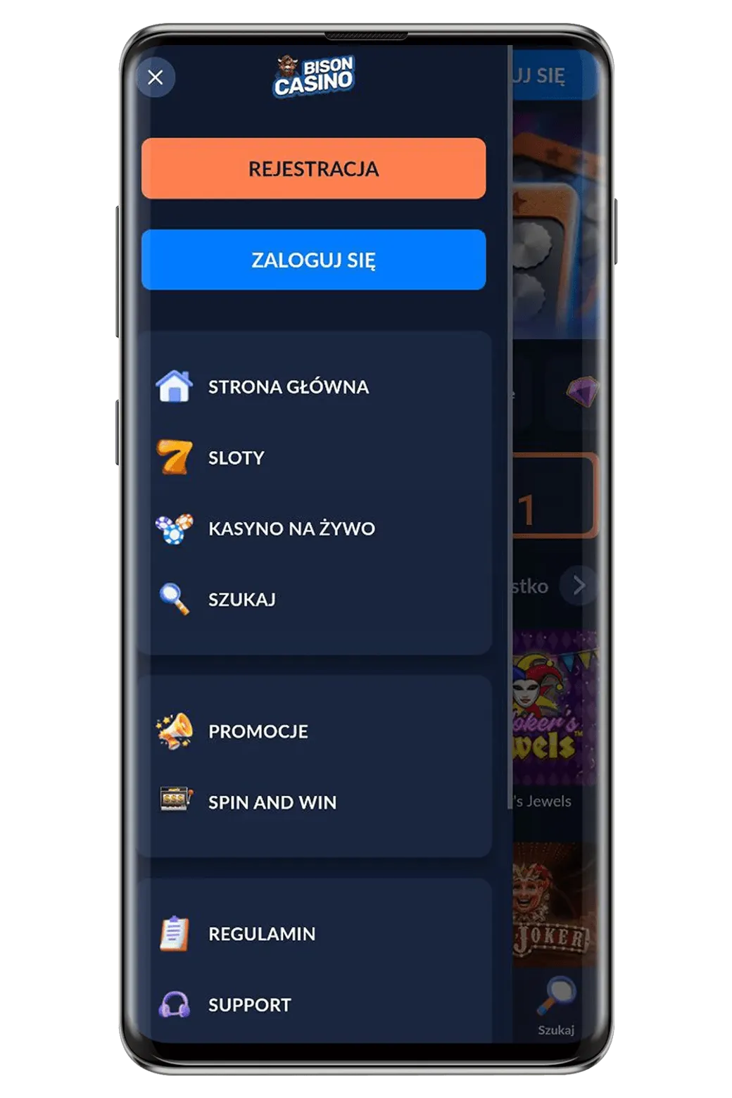kasyna-bison